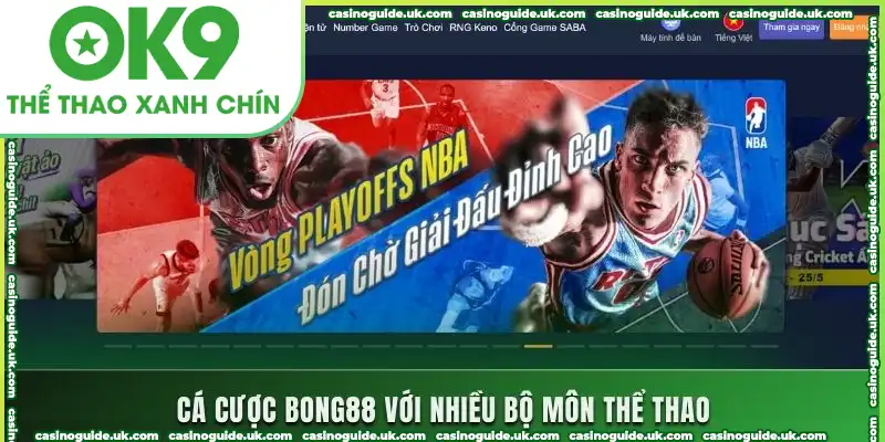 Cá cược bong88 với nhiều bộ môn thể thao