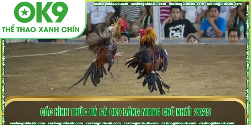 Các hình thức đá gà OK9 đáng mong chờ nhất 2025