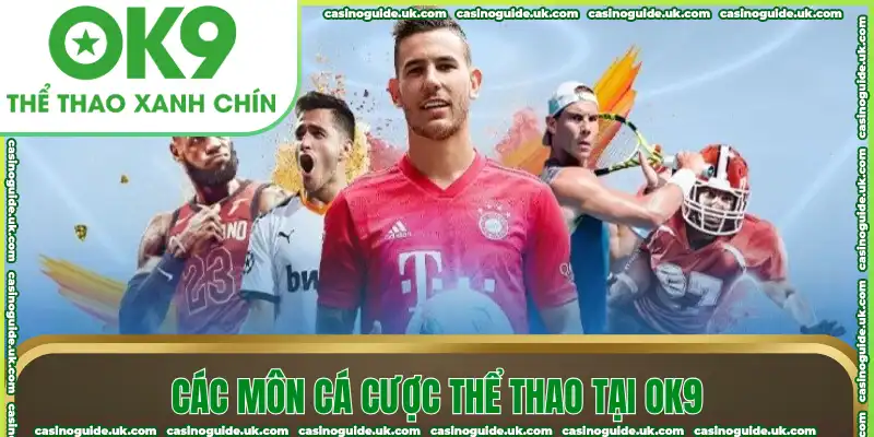 Các môn cá cược thể thao tại OK9