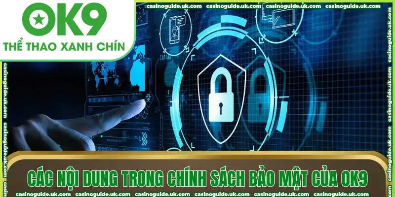 Các nội dung trong chính sách bảo mật của OK9
