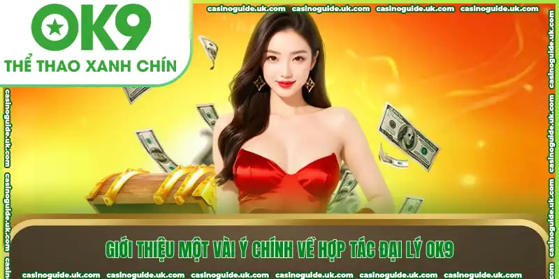 Giới thiệu một vài ý chính về hợp tác đại lý OK9