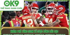 kham pha tong quan ve cuoc bong bau duc