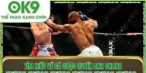 tim hieu ve ca cuoc quyen anh online