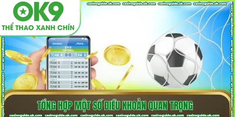 Tổng hợp một số điều khoản quan trọng