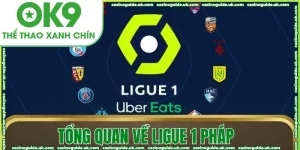 tong quan ve ligue 1 phap