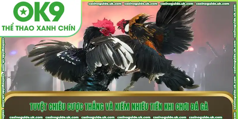 Tuyệt chiêu cược thắng và kiếm nhiều tiền khi chơi đá gà
